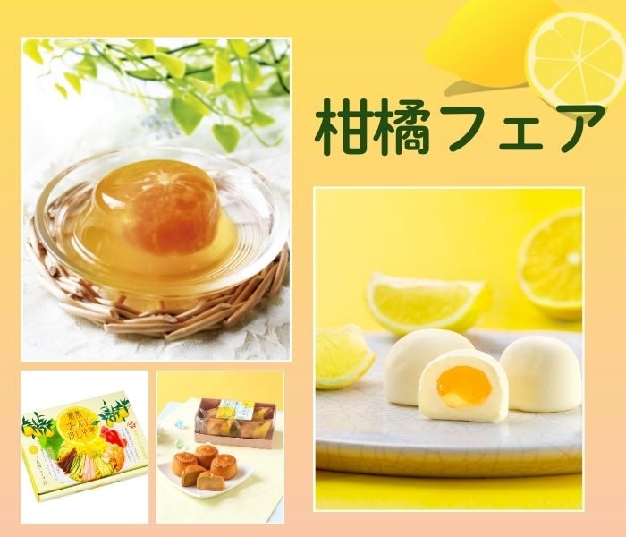 柑橘フェア
  