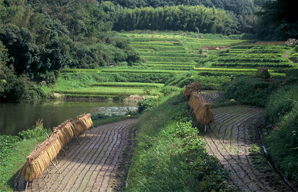 特Ａ地区吉川町