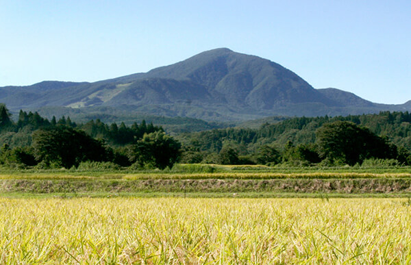自然に恵まれた田圃