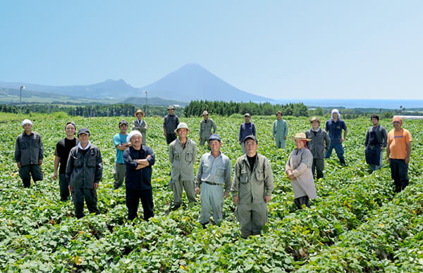 芋畑と生産農家のみなさん