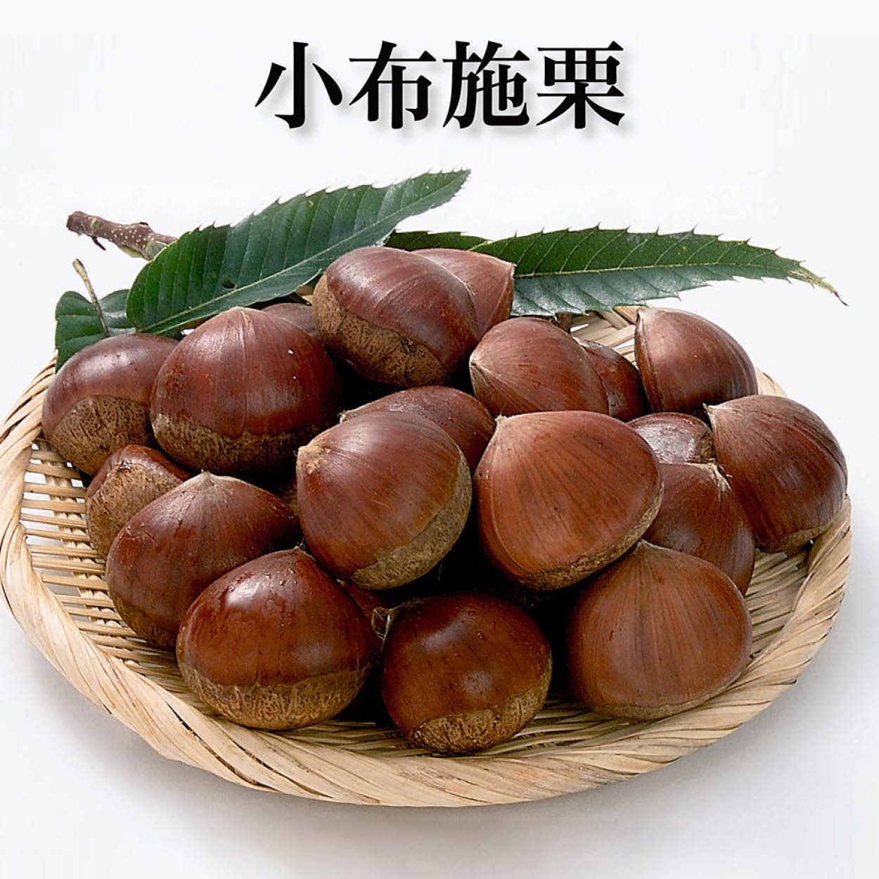 長野県産小布施栗