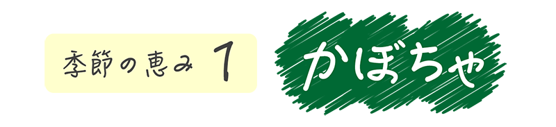 季節の恵み1 かぼちゃ