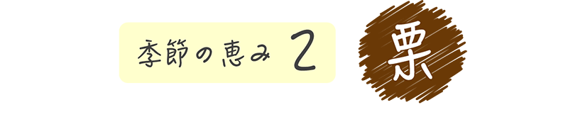 季節の恵み2 栗