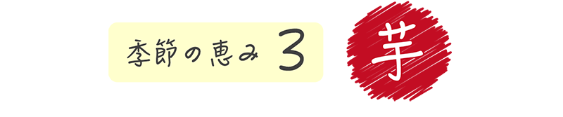 季節の恵み3 芋