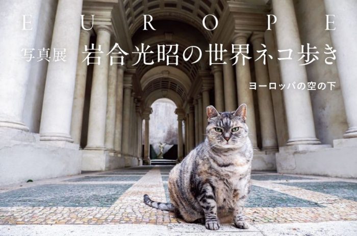 【予告】写真展 岩合光昭の世界ネコ歩き ヨーロッパの空の下