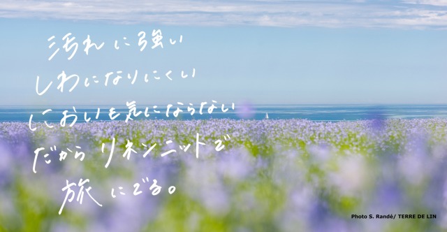 ショップニュース画像