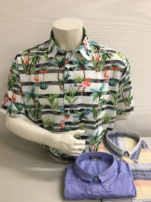 ショップニュース画像