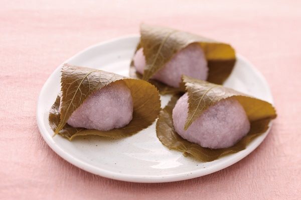 ショップニュース画像
