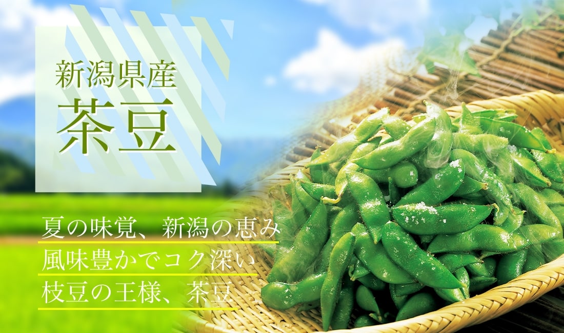 新潟県産 茶豆 夏の味覚、新潟の恵み 風味豊かでコク深い 枝豆の王様、茶豆