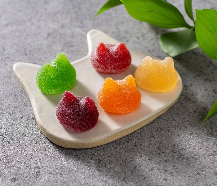 ショップニュース画像