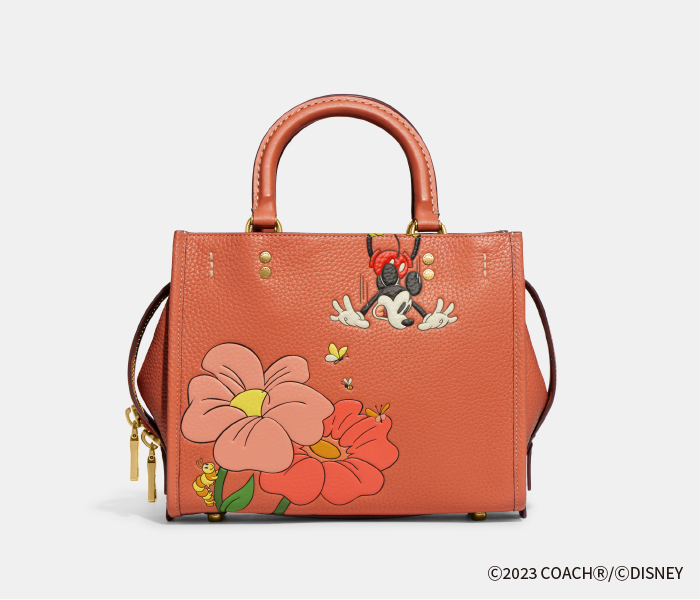 【未使用】ディズニー創立100周年限定☆限定コレクション×COACH リュック