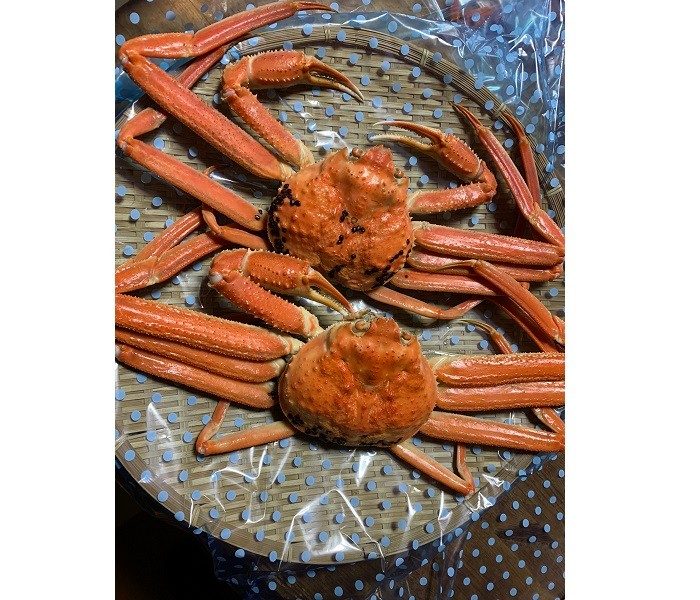 ＜魚富＞期間限定販売