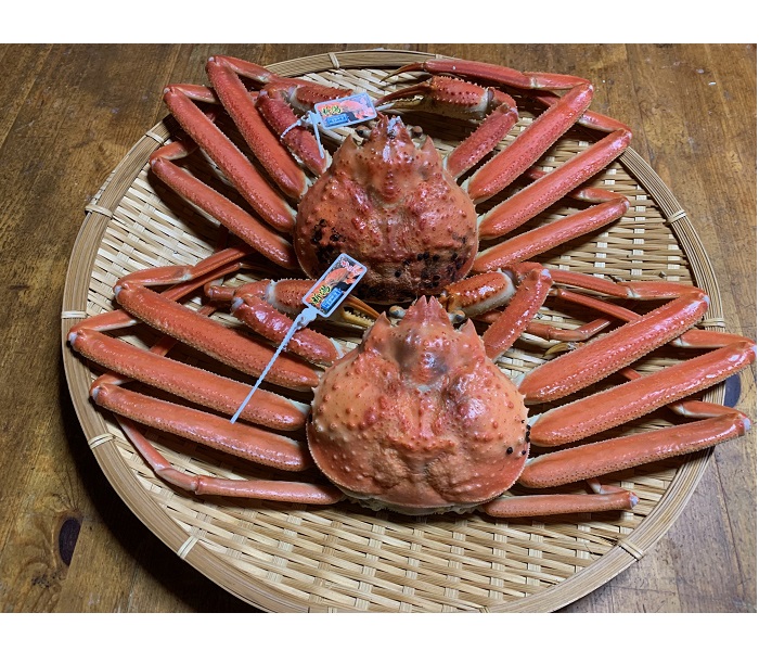 ショップニュース画像