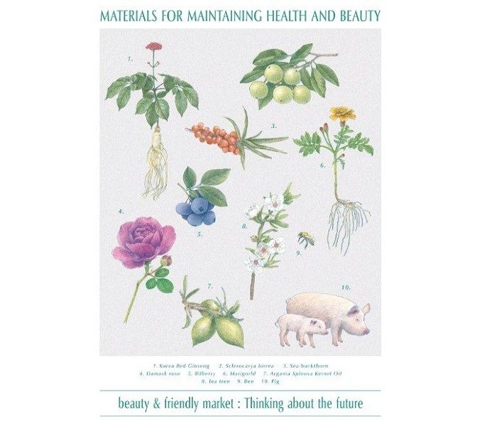 beauty＆friendly market：Thinking about the future  