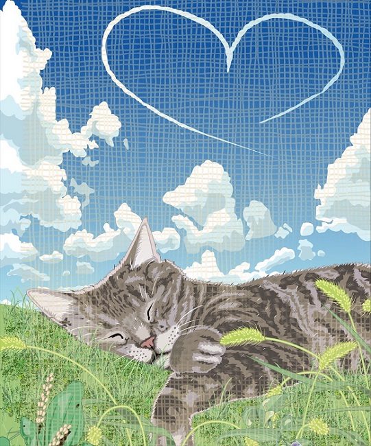 画像