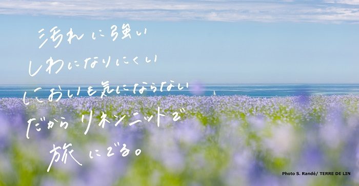 ショップニュース画像
