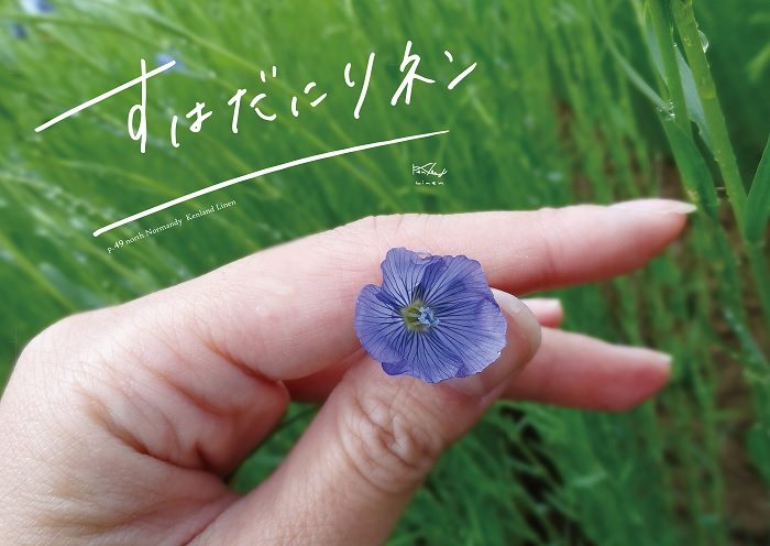 ショップニュース画像