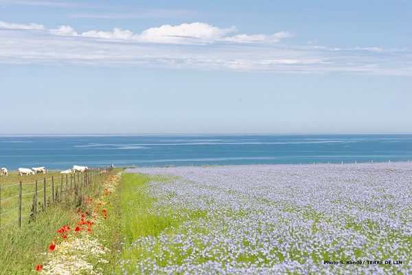 ショップニュース画像