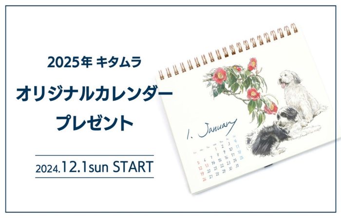 ショップニュース画像