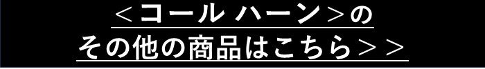 ボタン